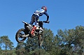 _ROB6894 (Copy)